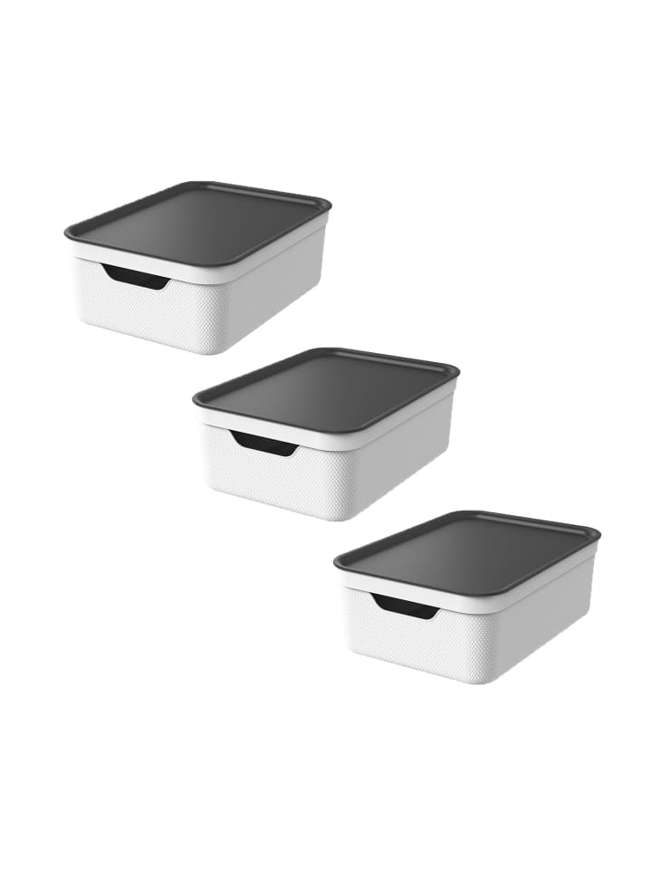 Rotho 3er Set Aufbewahrungsbox mit Deckel 10L JIVE in Mistelweiß günstig kaufen onesize