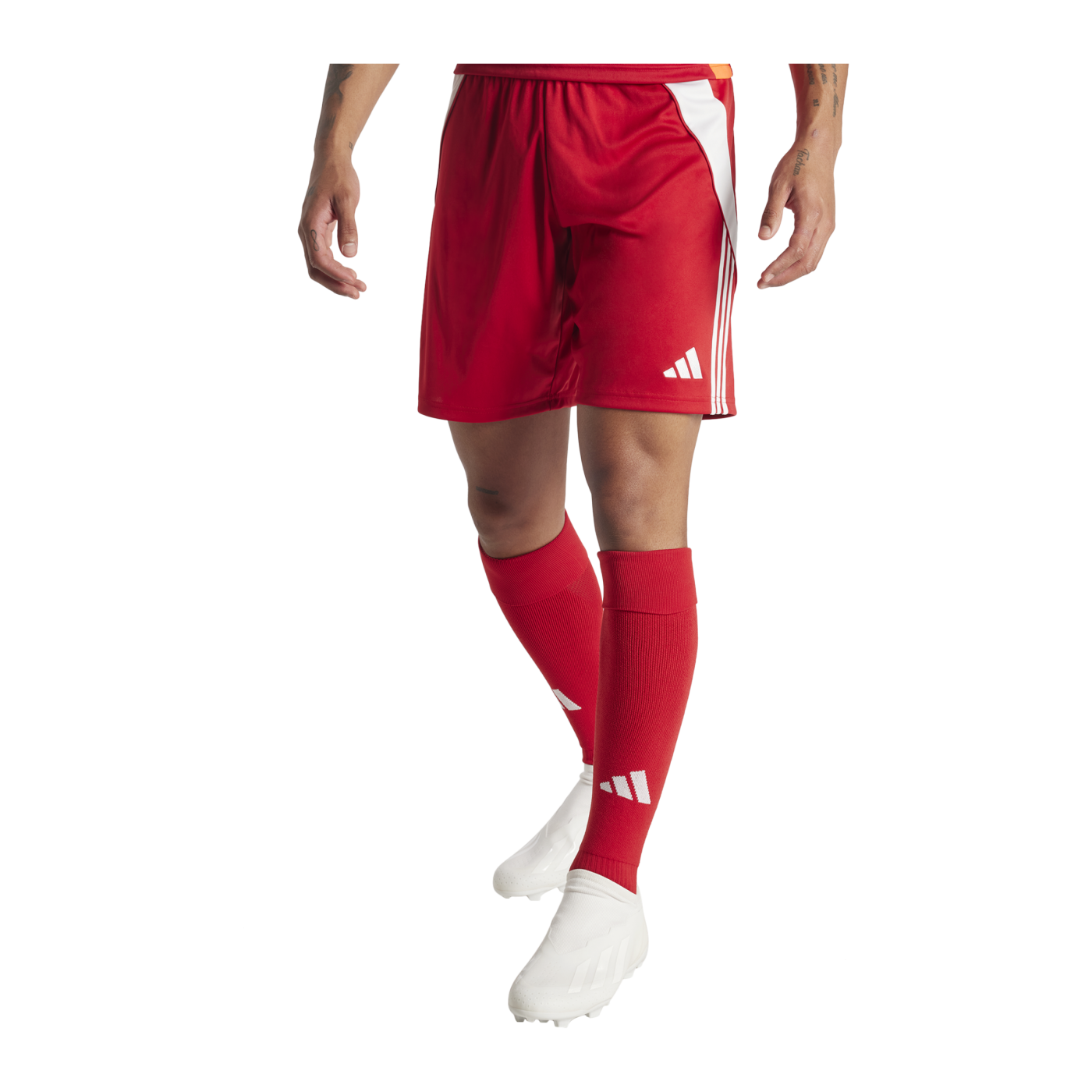 adidas Tiro 24 Short Rot Weiss