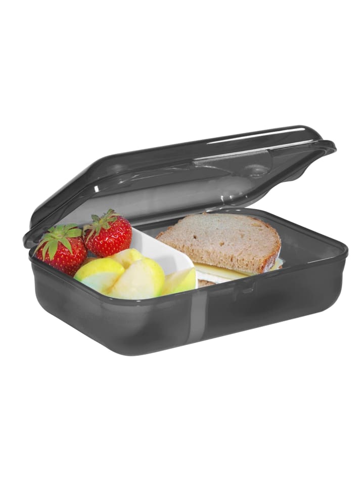 Step by Step Brotzeitbox, mit Klickverschluss in Dino Tres, Schwarz günstig kaufen onesize