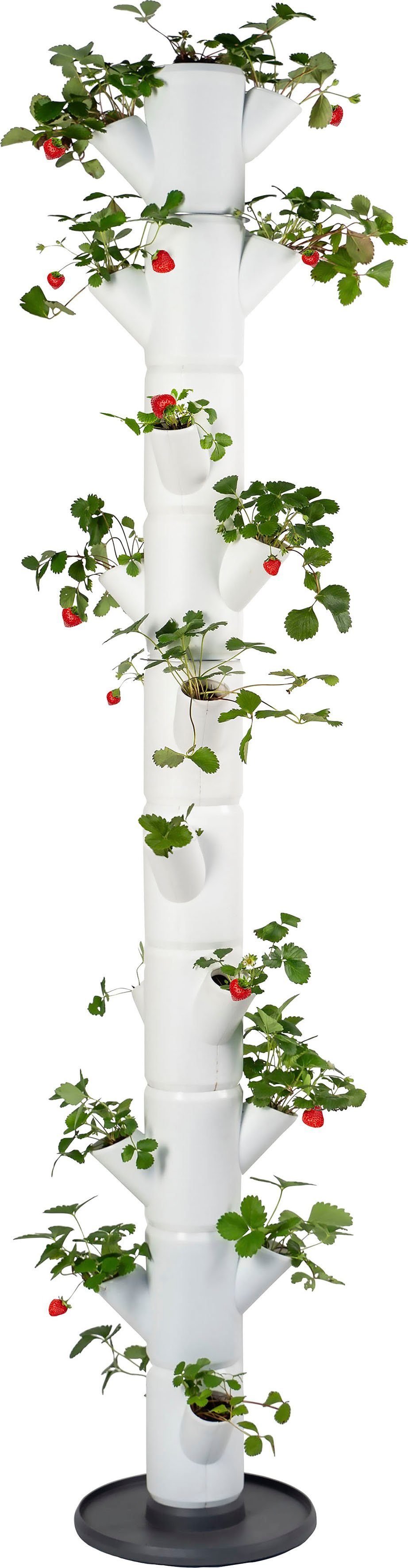 Gusta Garden Pflanzkübel SISSI STRAWBERRY Erdbeerbaum, 10 Etagen inkl. Untersetzer, Erdbeeren anbauen leicht gemacht