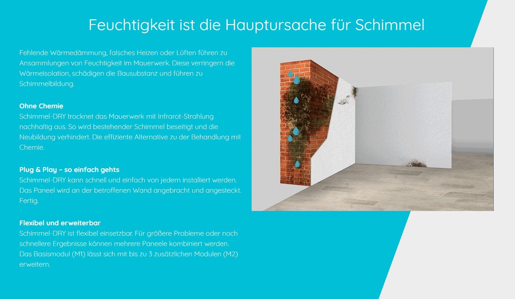 JUNG Luftentfeuchter SchimmelDry Schimmelentferner Gerät Elektrisch Wand Bad Anti Schimmel, Schimmel Entferner Frei, Entfeuchter für die Wohnung, Raumentfeuchter