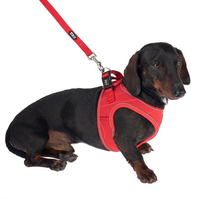 TIAKI Hundeleine Mesh, rot