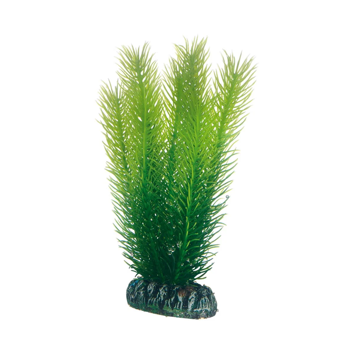 Hobby Aquariumdekoration Mayaca günstig kaufen