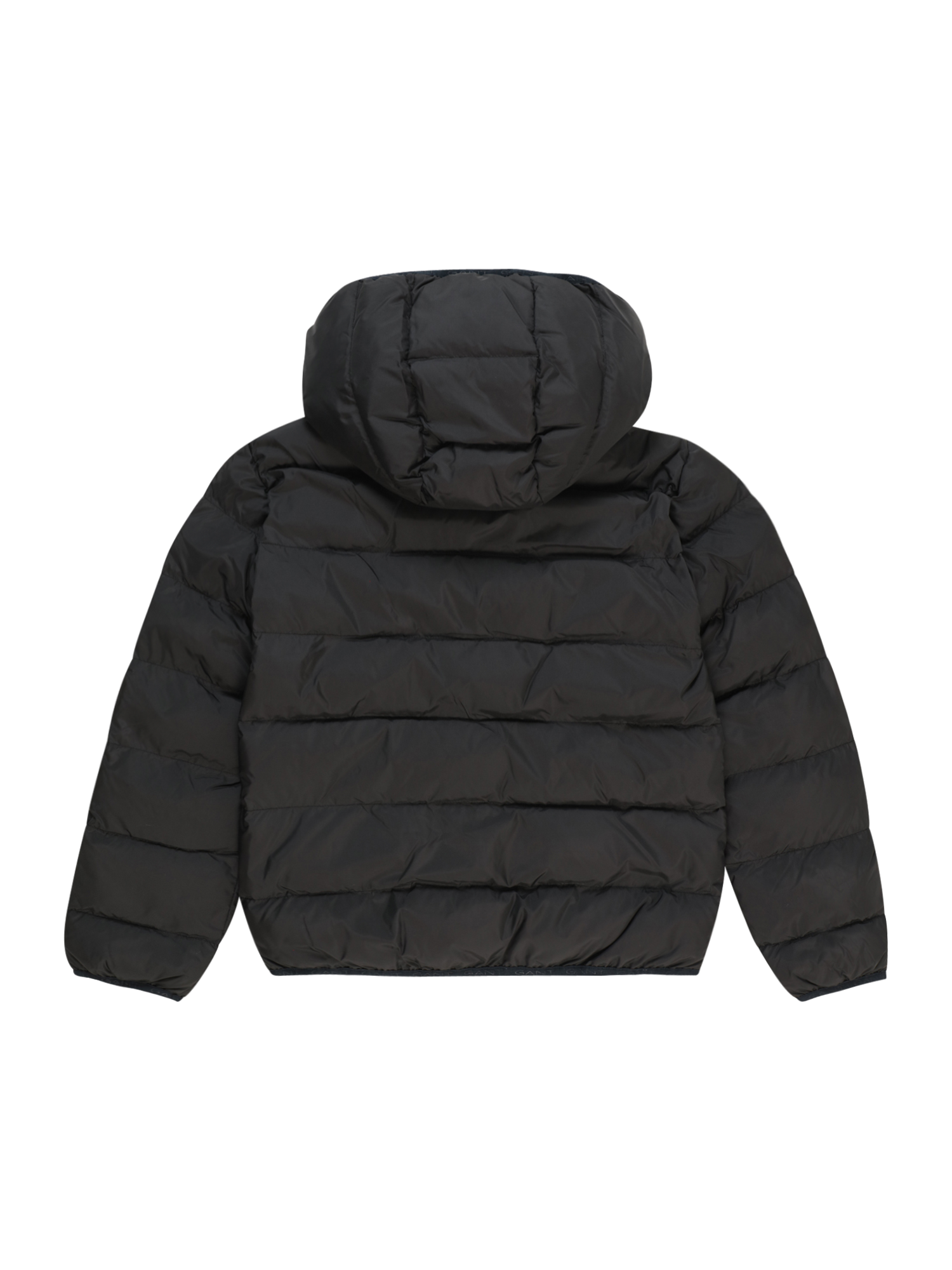 Between-Season Jacket