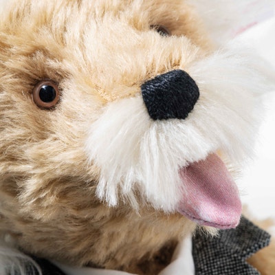 Albert Einstein Teddybär, 35 cm, beige