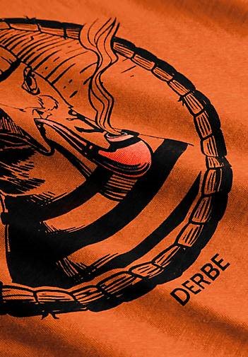 Derbe T-Shirt Matrosenmöwe