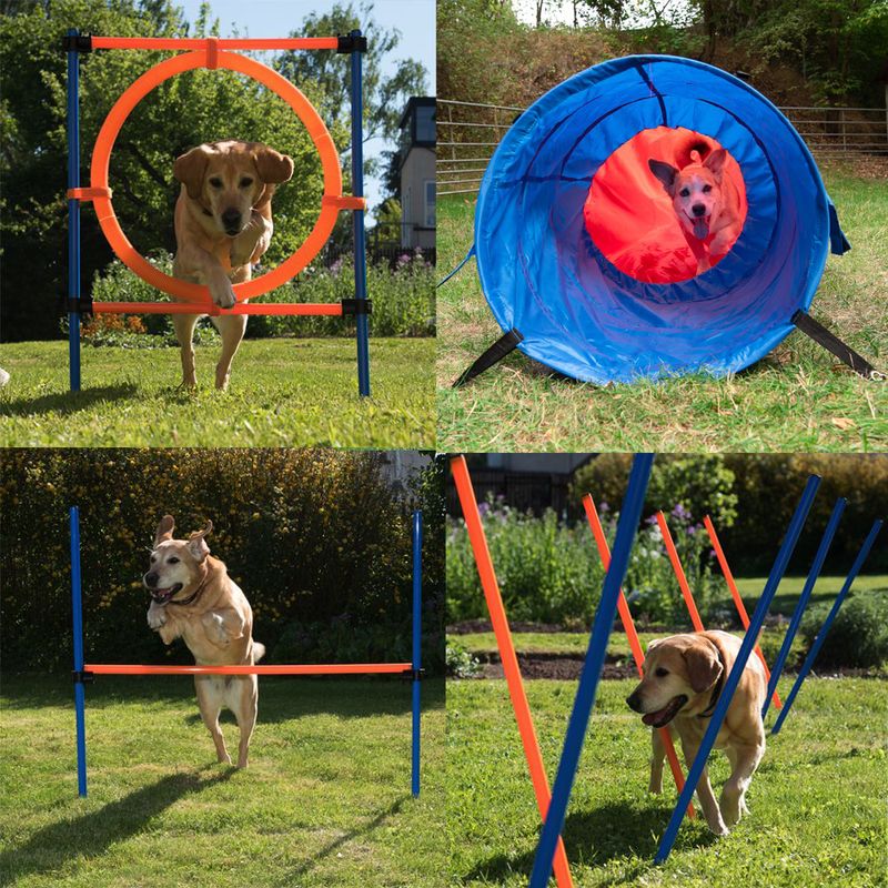 Agility Fun & Sport Komplett-Set zu TOP-Preisen