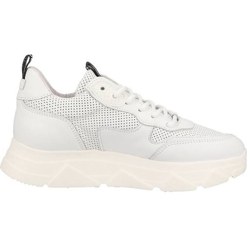 Steve Madden Sneaker