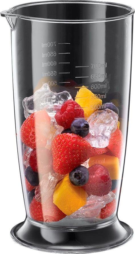 RUSSELL HOBBS Stabmixer Desire 24690-56, 500 W