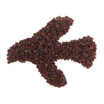 Lillebro Futterrosinen 1 kg
