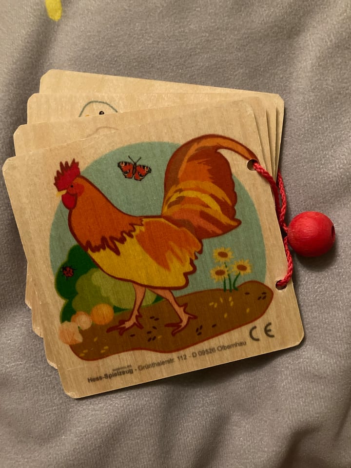 Hess Holzspielzeug Bilderbuch 
