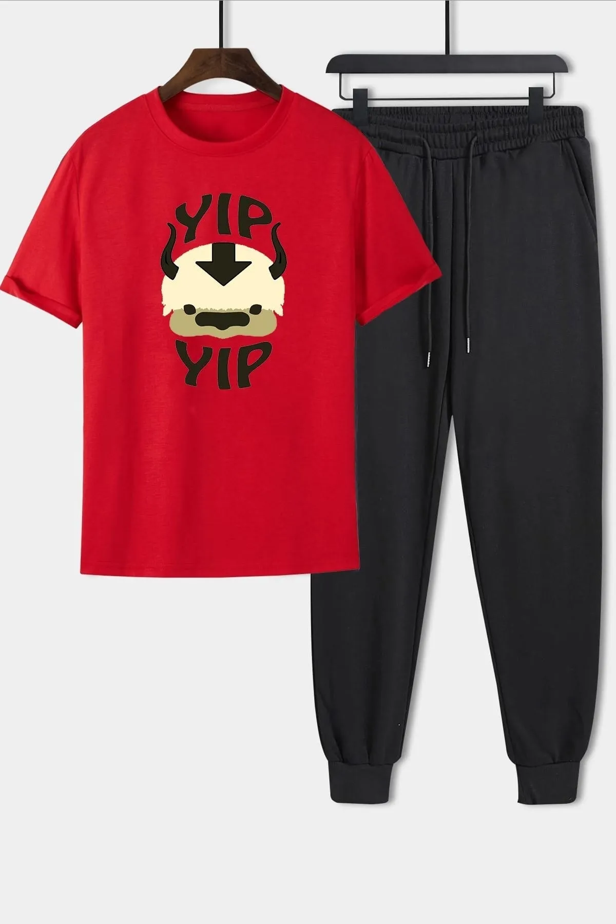 uyguntarz  Zweiteiliges Unisex-Trainingsanzug-Set mit Avatar Appa-Aufdruck