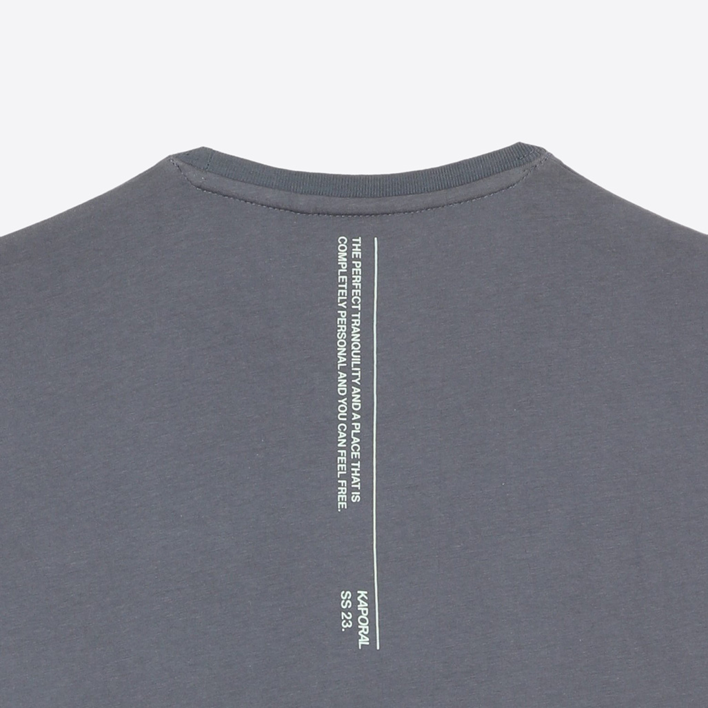 PIRGO  T-shirt bleu gris Garçon en 100% coton
