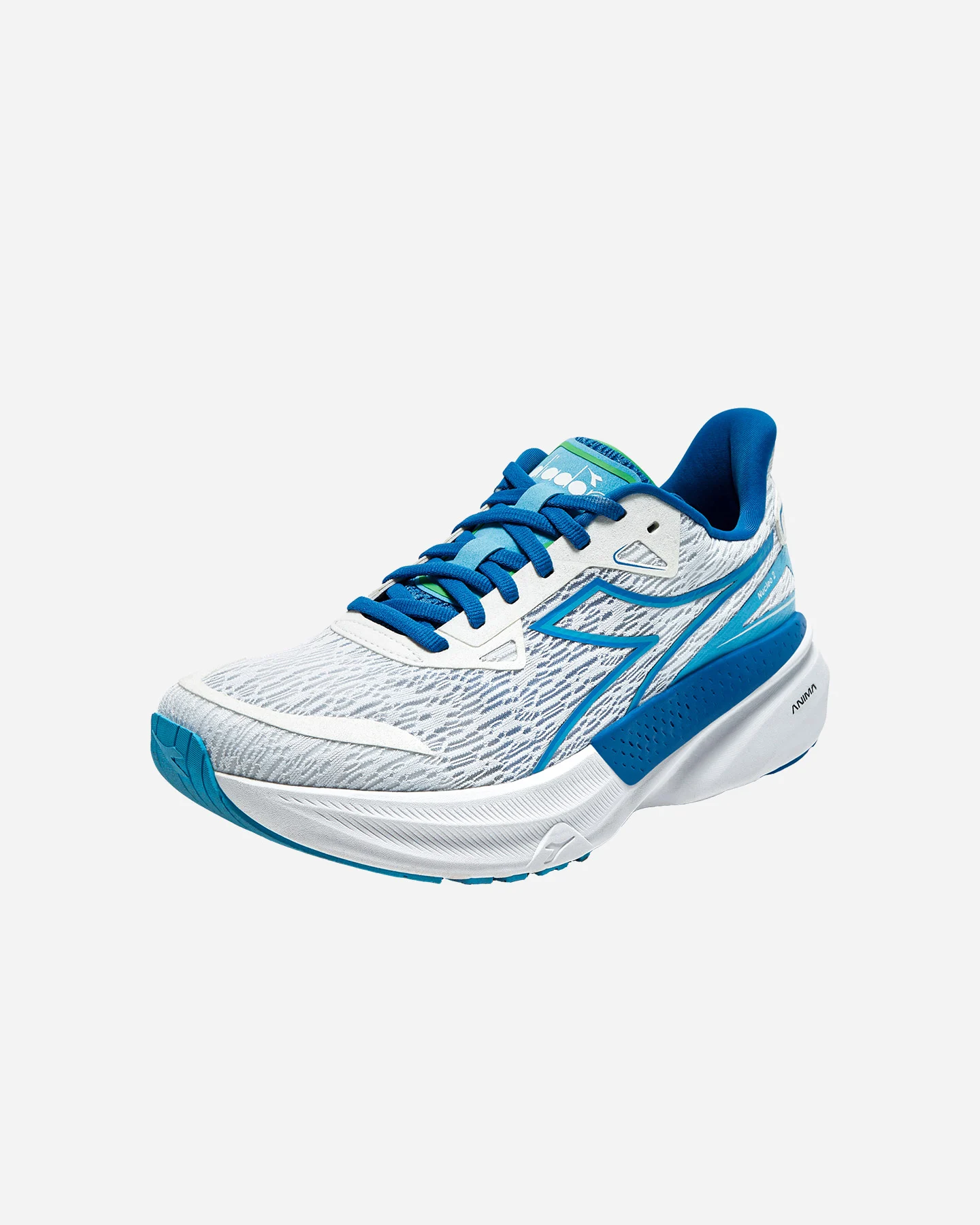 Buty do biegania Diadora Equipe Nucleo 2 M 101.181846-D1205