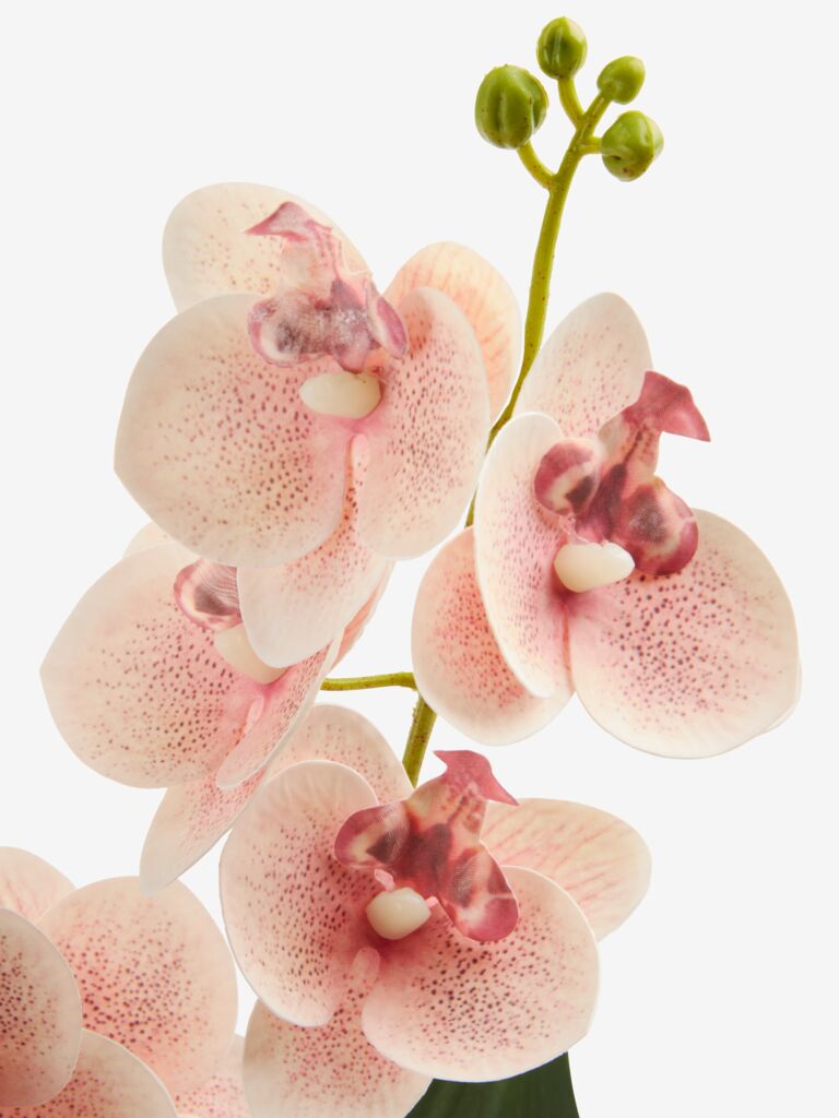 Planta artificial GUDJON GUDJON H35cm orquídea rosa
