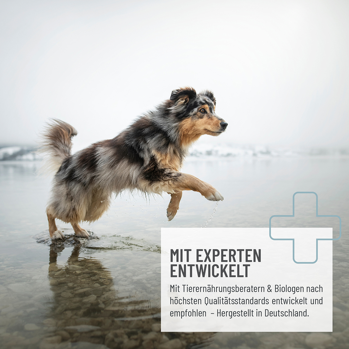 REAVET Ergänzungsfutter & Aufzucht REAVET Bachblüten Globuli - Ruhepol 10g