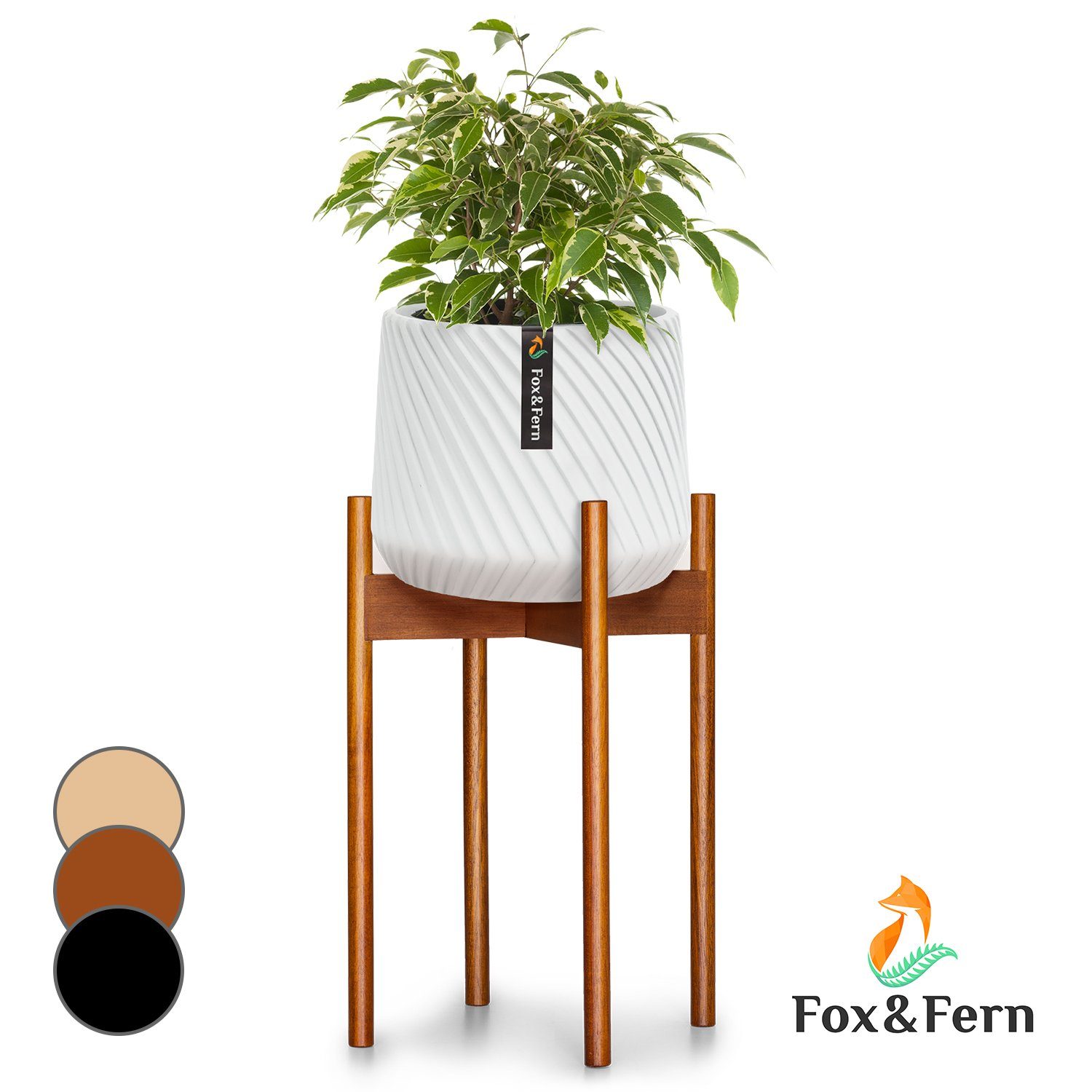 Fox & Fern Hochbeet Zeist