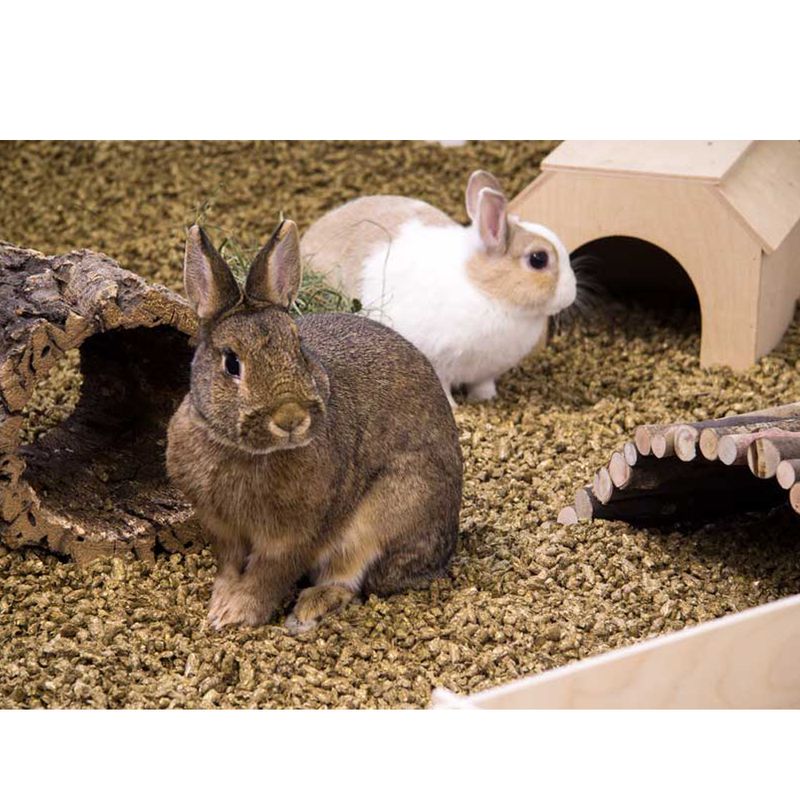 Bunny Bedding Cosy zu TOP-Preisen