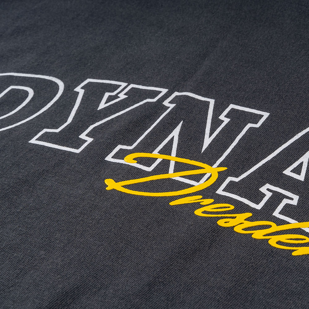 Herren T-Shirt DYNAMO DRESDEN Casual