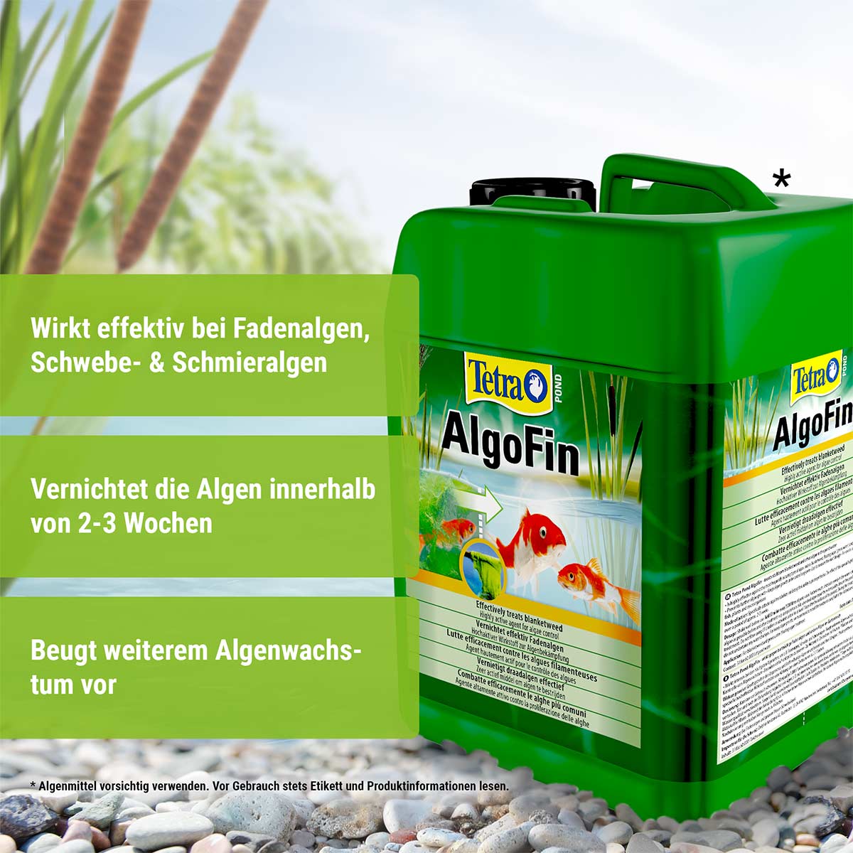 Tetra Pond AlgoFin günstig kaufen