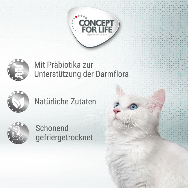 Concept for Life Sensitive Cubes zu TOP-Preisen