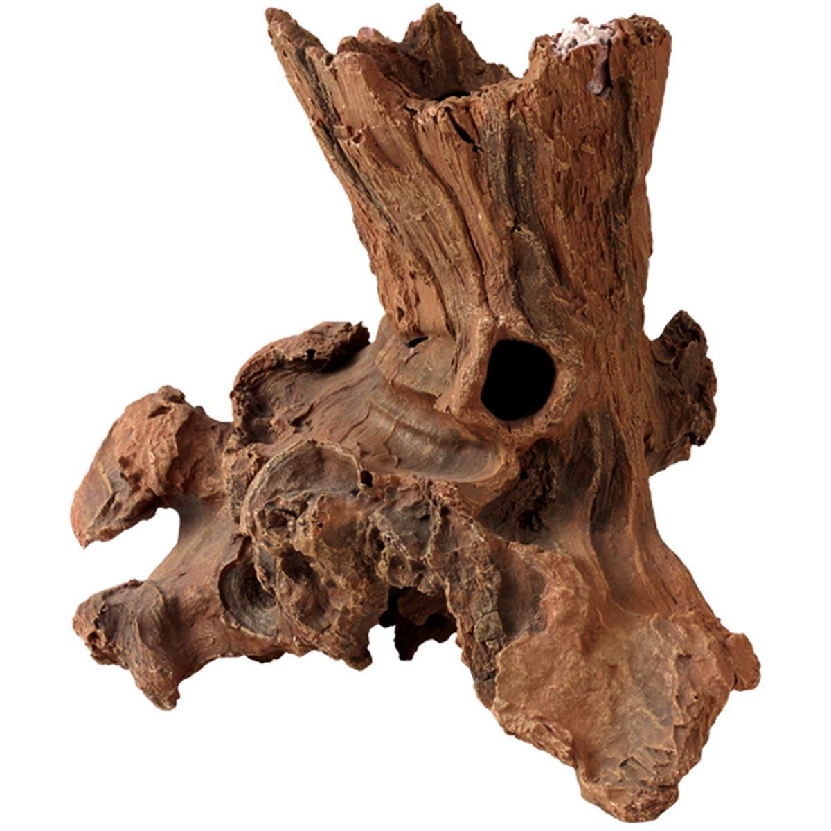 Hobby Driftwood günstig kaufen