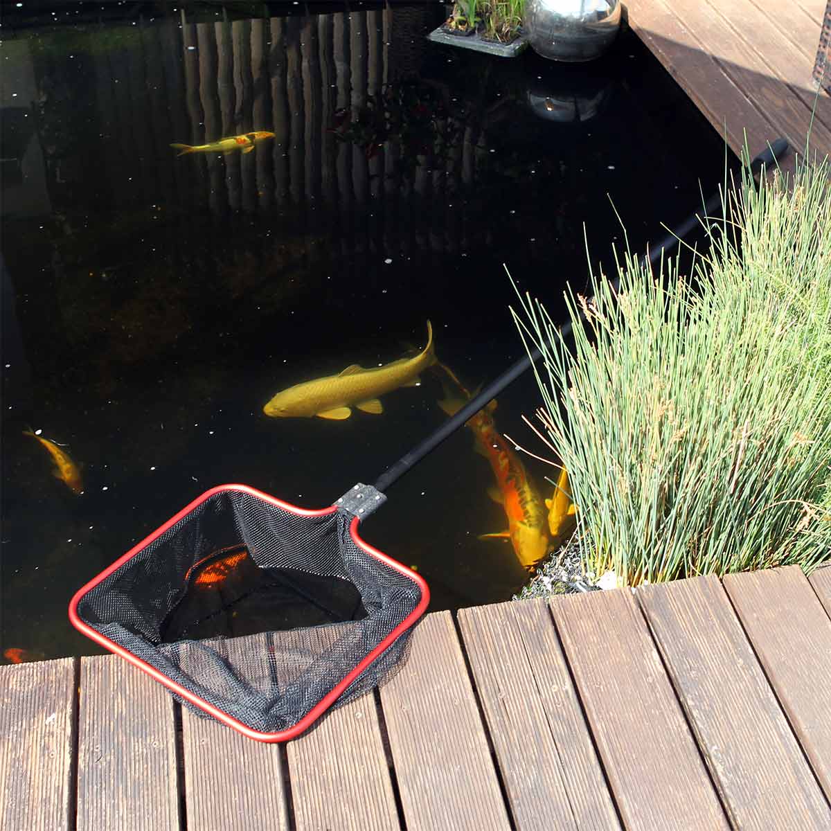 JBL Teichkescher S günstig kaufen
