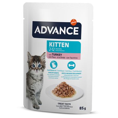 Advance Kitten Truthahn