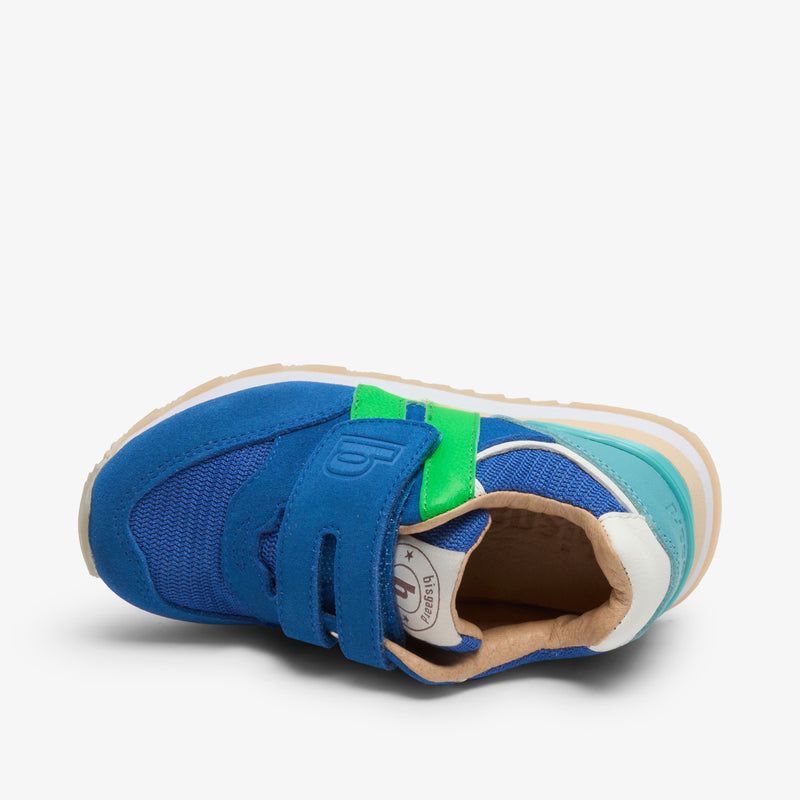 winston royal blue - Blau