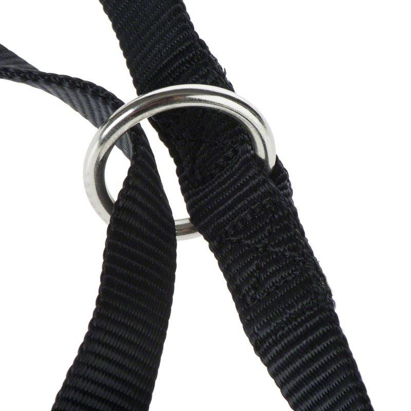 Sparset HUNTER Hundeleine + Halsband Vario Basic schwarz | bitiba