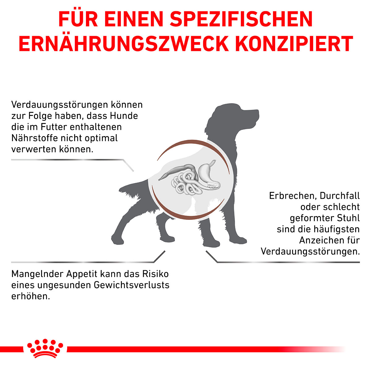 ROYAL CANIN Veterinary GASTROINTESTINAL Trockenfutter für Hunde