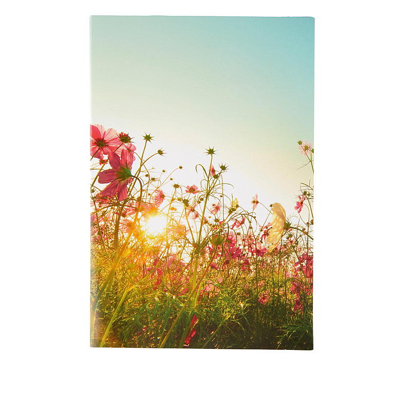 Kort blomstereng