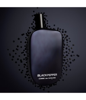 Comme des Garcons Blackpepper Eau de Parfum 100 ml