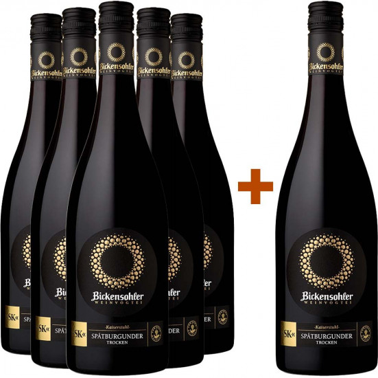 5+1 Paket Steinfelsen Spätburgunder 