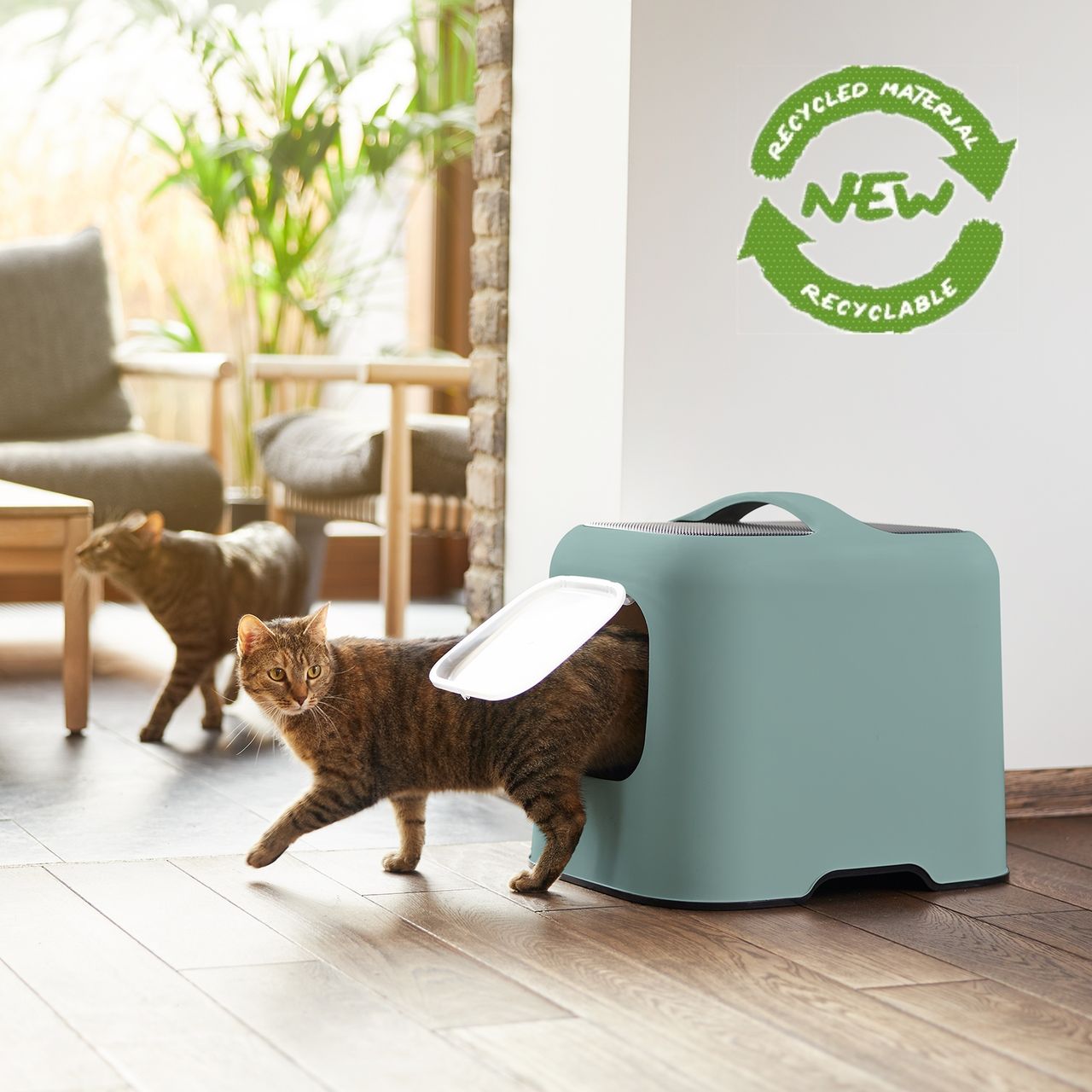 Rotho MyPet Biala Katzenklo mit Haube und Schaufel, grün/anthrazit, recycletes Material