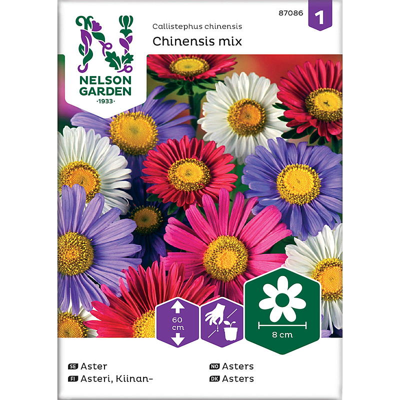 Nelson garden Frø Asters Enkeltblomstrende, mix