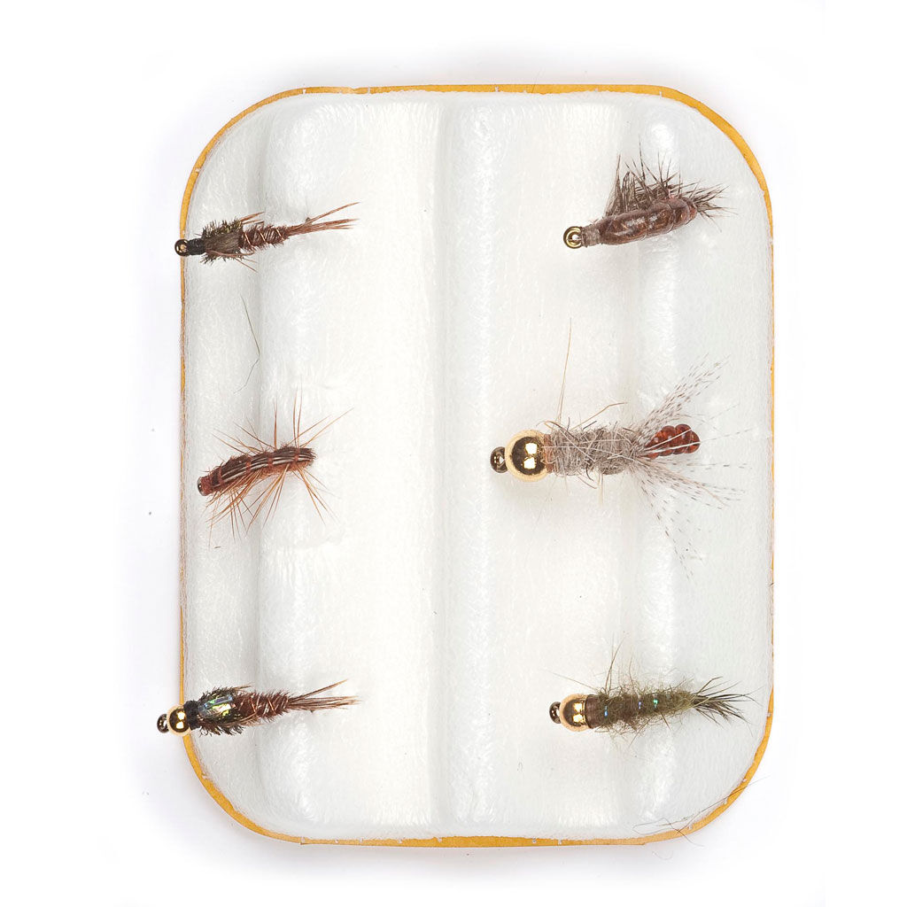 JMC Selection 6 nymfiperhosetti