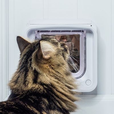 SureFlap Mikrochip Katzenklappe Connect