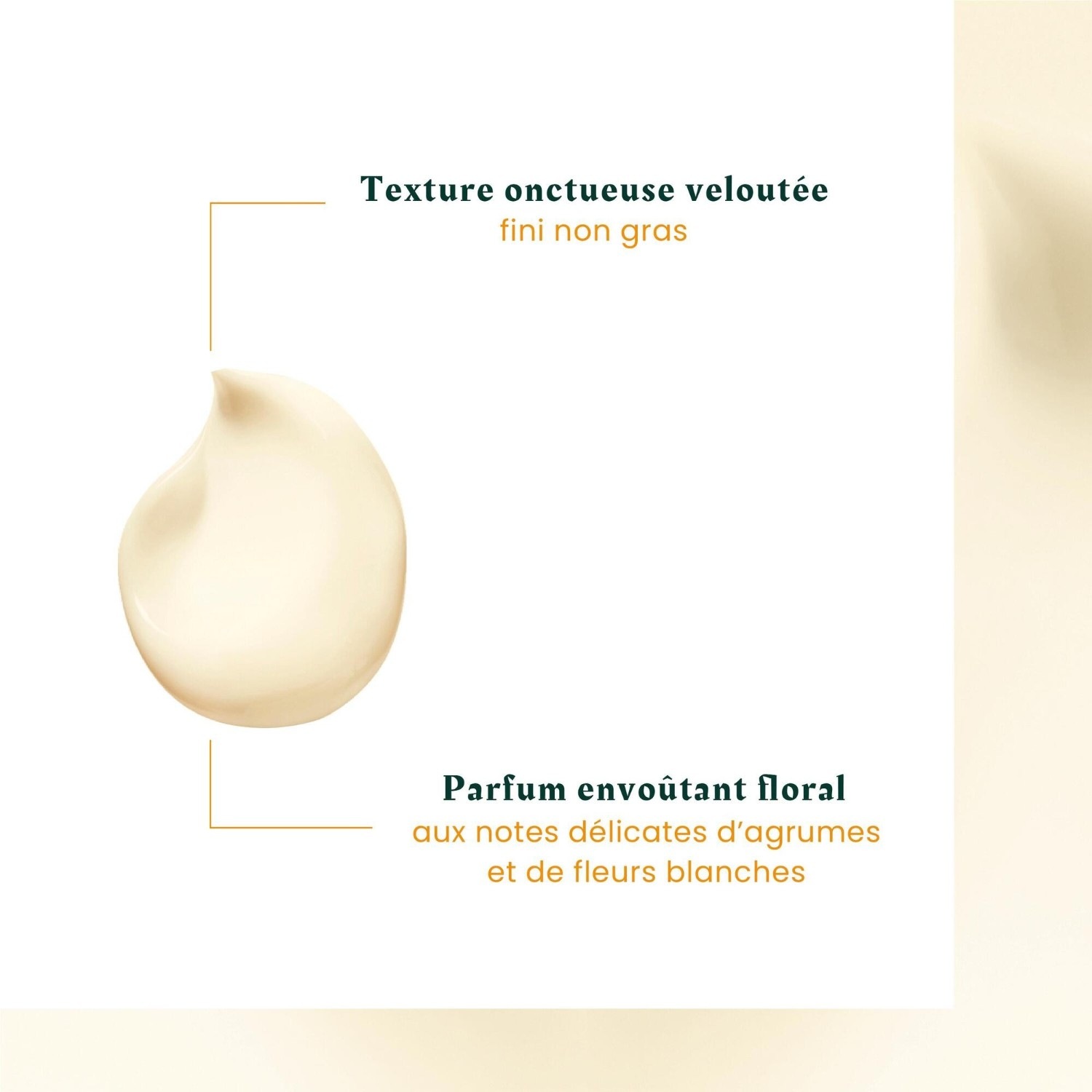 René Furterer Intense Nutrition dnevna krema