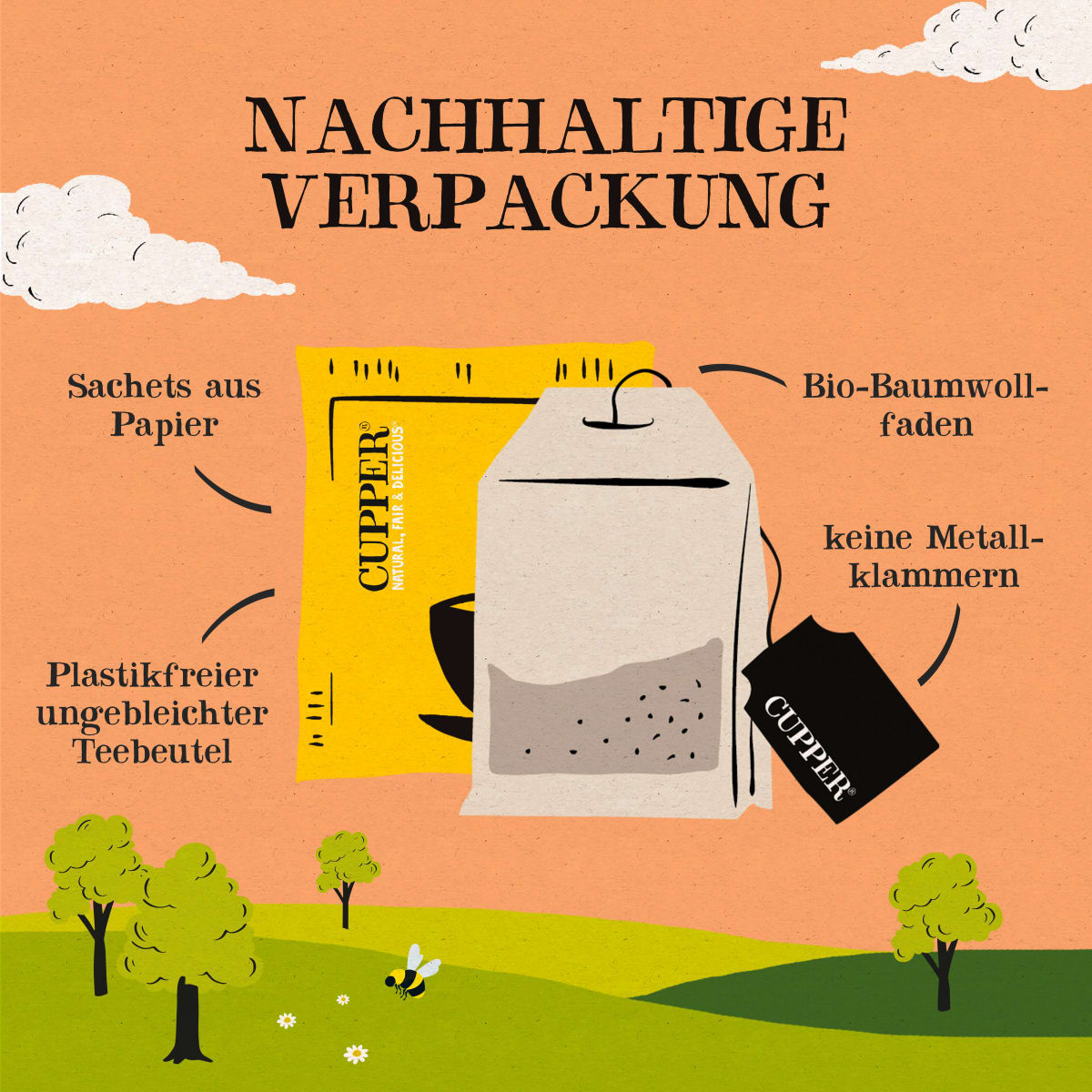 Früchtetee Mango, Citrus (20 Beutel), 36 g