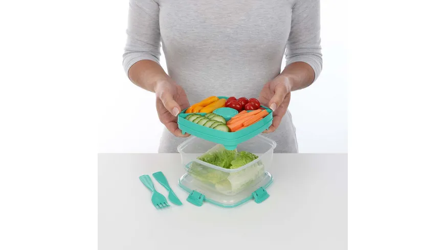 sistema Lunchbox SALATBOX TO GO 1,1l Achtung: diesen Artikel gibt es in verschiedenen farblichen Ausführungen. Sie erhalten nur 1 Artikel (zufällige Auswahl im Lager). Eine Vorauswahl ist leider nicht möglich.