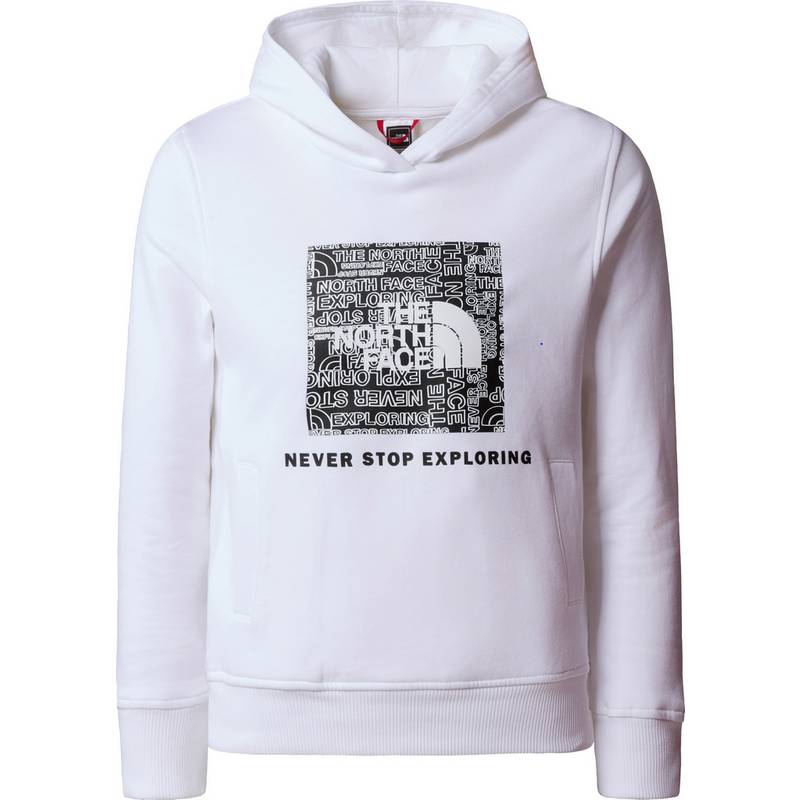 The North Face Off Mountain Logowear Hoodie Kinder