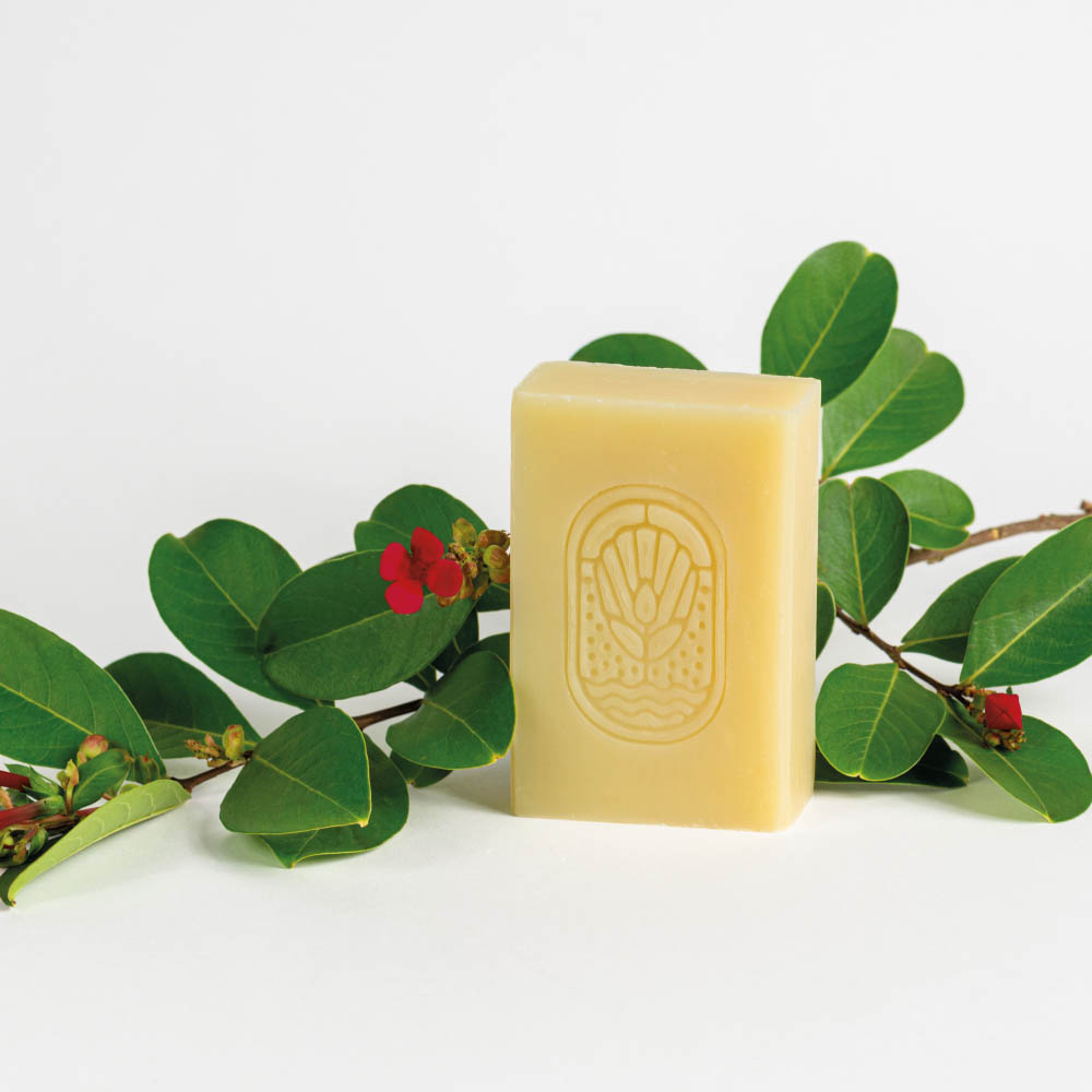 la petite madeleine Âme Santal Savon à froid parfumé