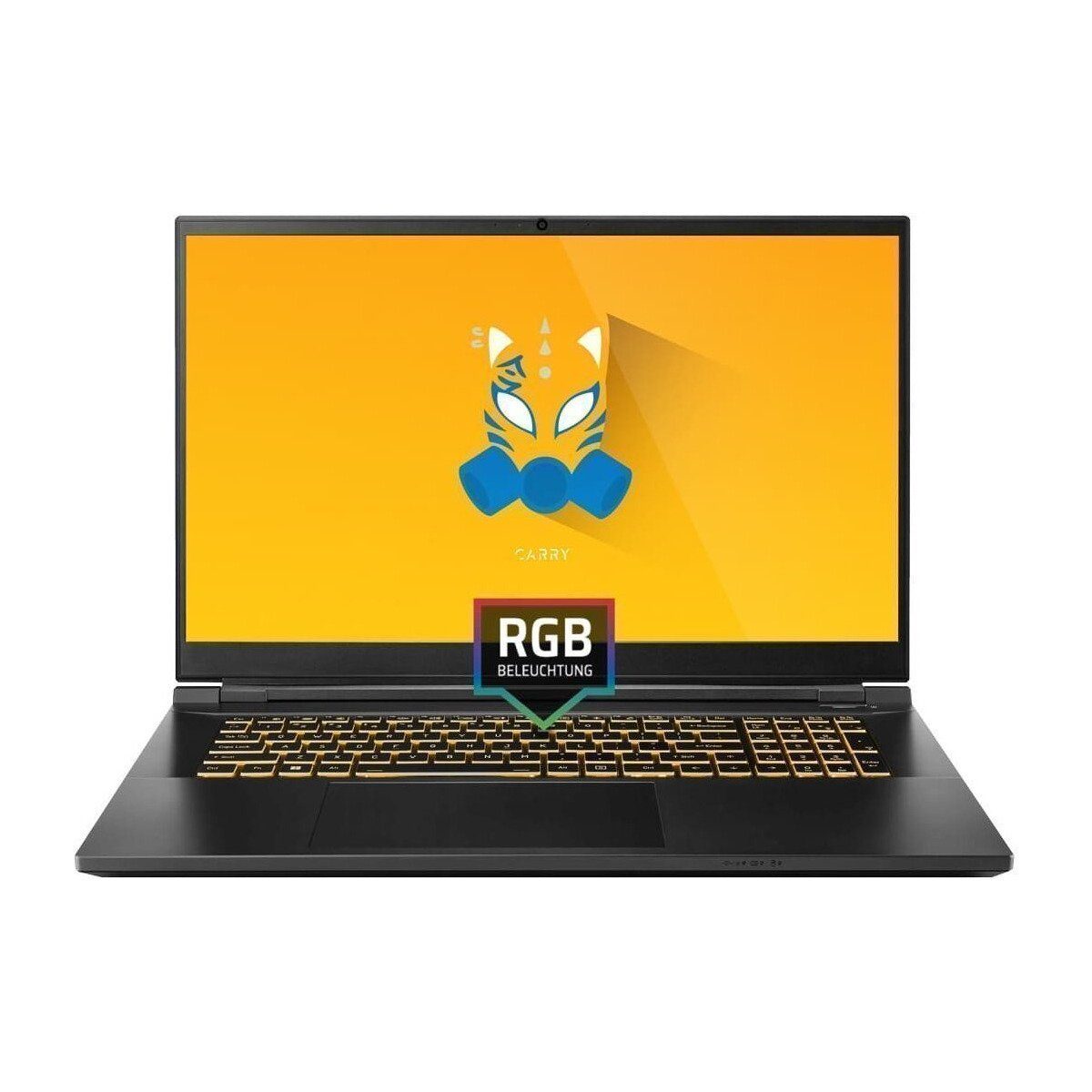 ONE GAMING ONE GAMING Carry V73-13NB-SN1 Gaming-Notebook (Intel Core i9 Serie 13. Generation Core i9-13900HX, GeForce RTX 4000)