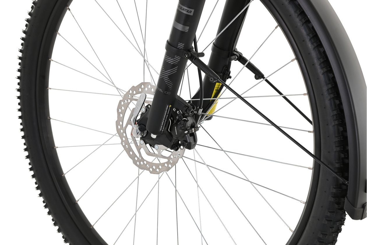 Carver Strict 120 Street - 2023 - 29 Zoll - Diamant
