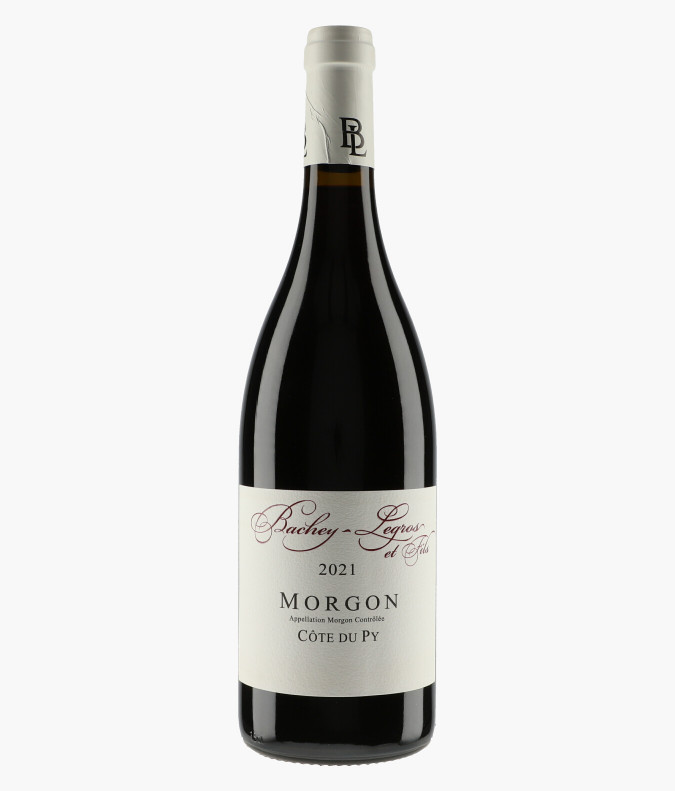 Morgon Côte du Py 2021BACHEY-LEGROS