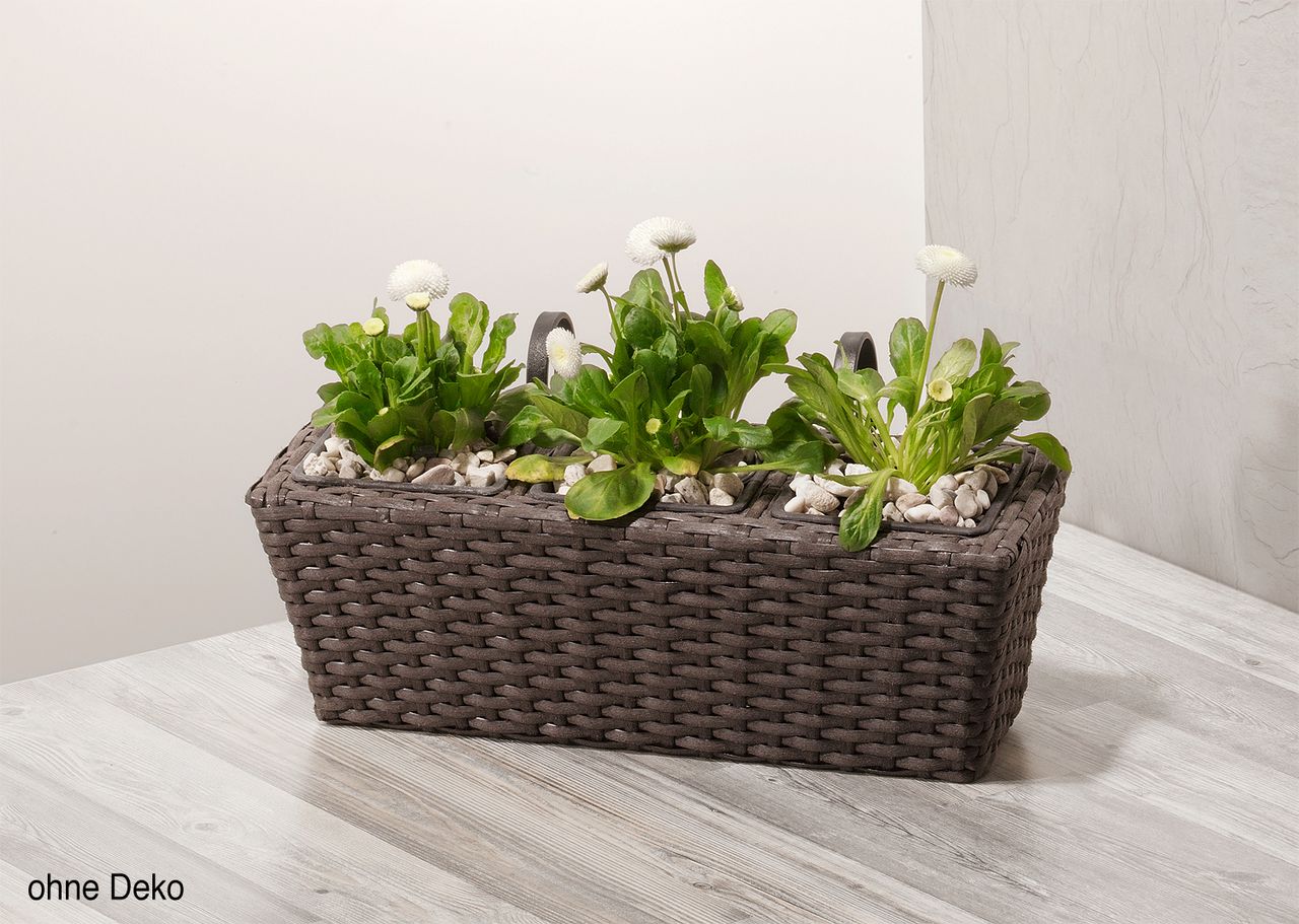 Weles Polyrattan Balkonkasten 2 Stück inkl. Aufhängung, 47 x 17 x 15 cm, 3er Kunststoffeinsatz, mocca