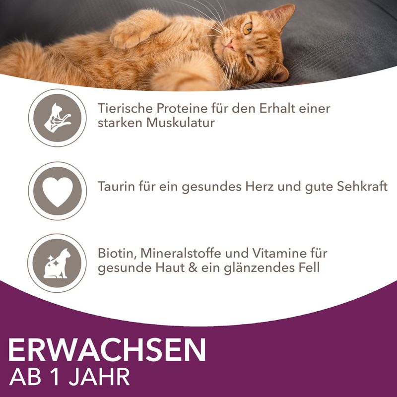 IAMS Delights Adult Land & Sea Mix zu TOP-Preisen