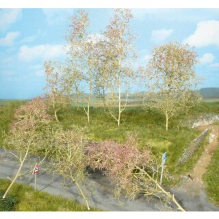 Bäume Seemoos natur (20 Stk.)