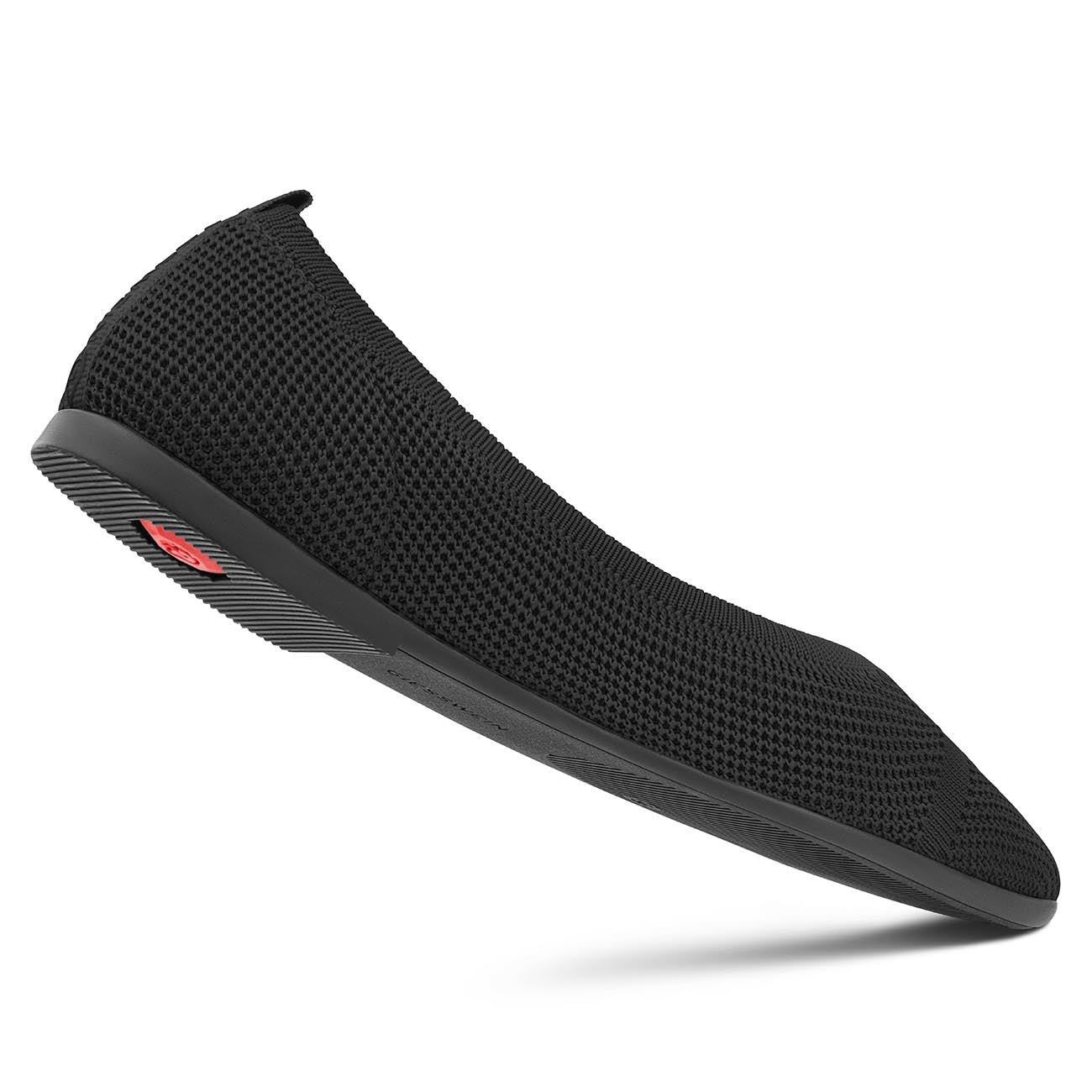 Eco Ballerinas Pointy 2.0